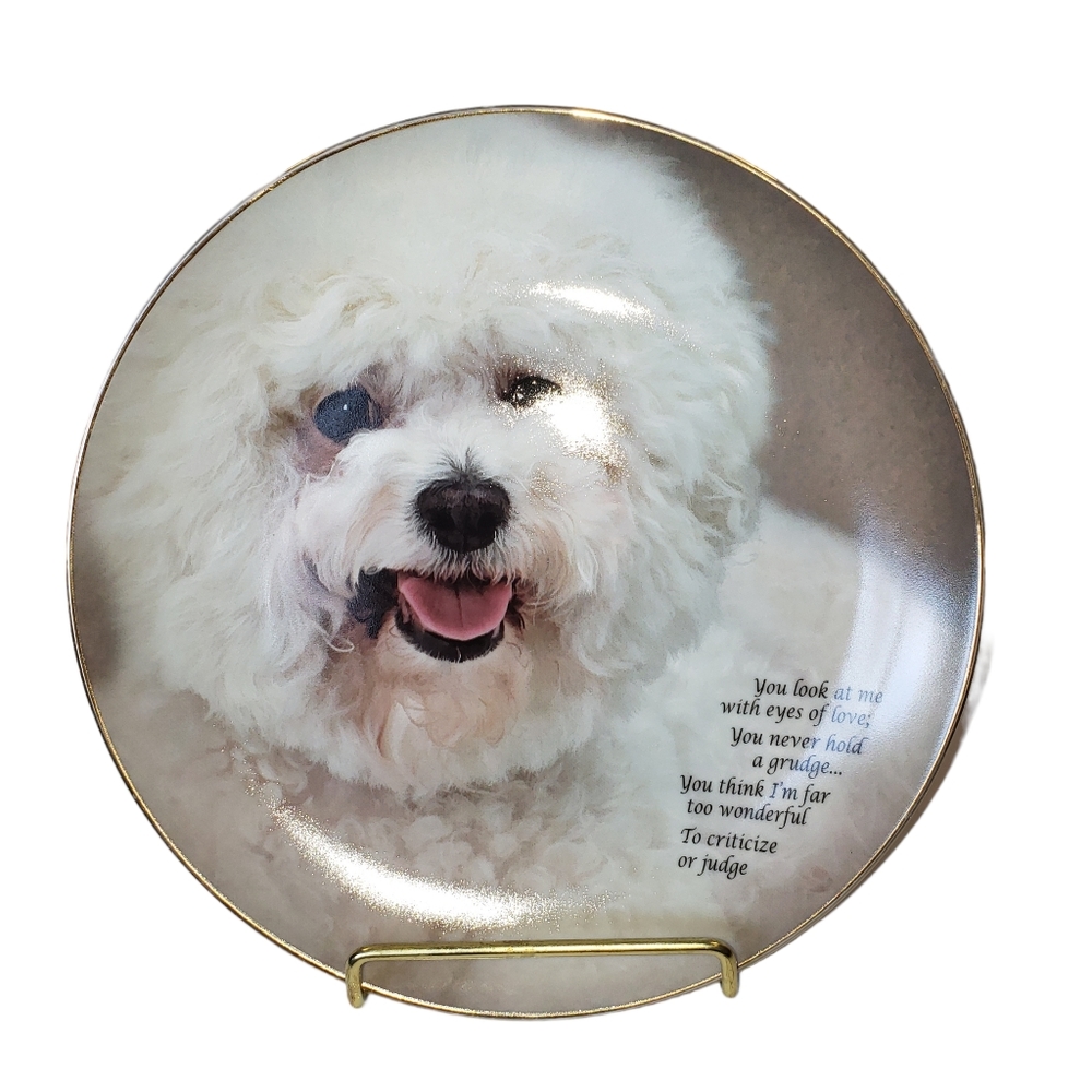 Lovely Bolognese Dog Plate Danbury Mint